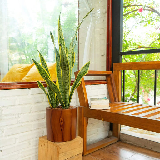 7.8 in. Dark Wood Plastic Self-watering Planter Pot Default -DTYStore