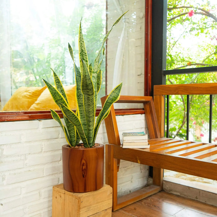 7.8 in. Dark Wood Plastic Self-watering Planter Pot Default -DTYStore