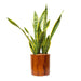 7.8 in. Dark Wood Plastic Self-watering Planter Pot Default -DTYStore