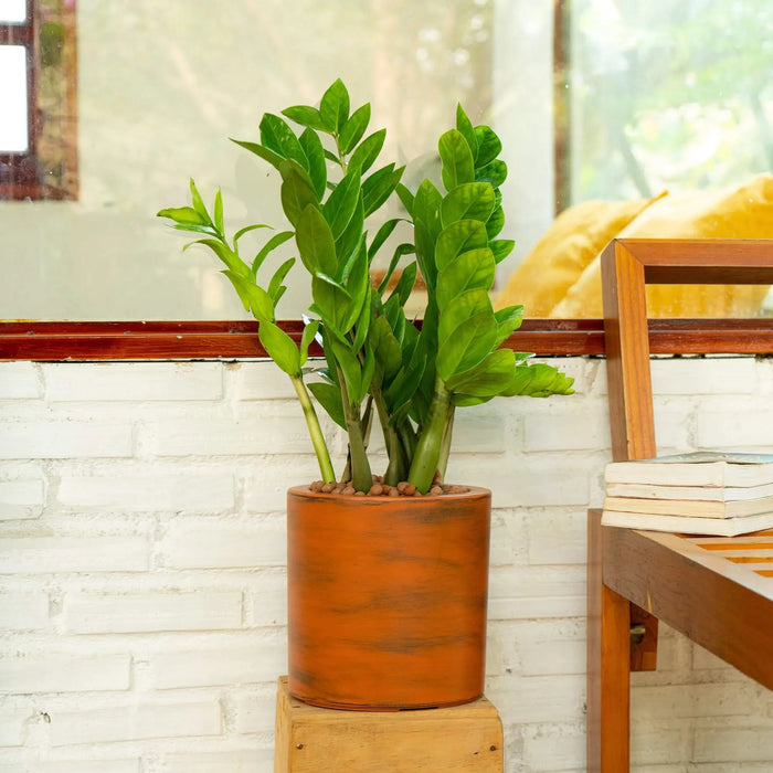 7.8 in. Painted Plastic Self-watering Planter Pot Default -DTYStore