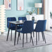 Dining Chair 2PCS（BLUE），Modern style，New technology，Suitable for restaurants, cafes, taverns, offices, living rooms, reception rooms.Simple structure, easy installation. - DTYStore