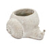 8.3x7x4.7' Decorative Sand and Cement Snail Planter with Textured Beige Finish Default -DTYStore