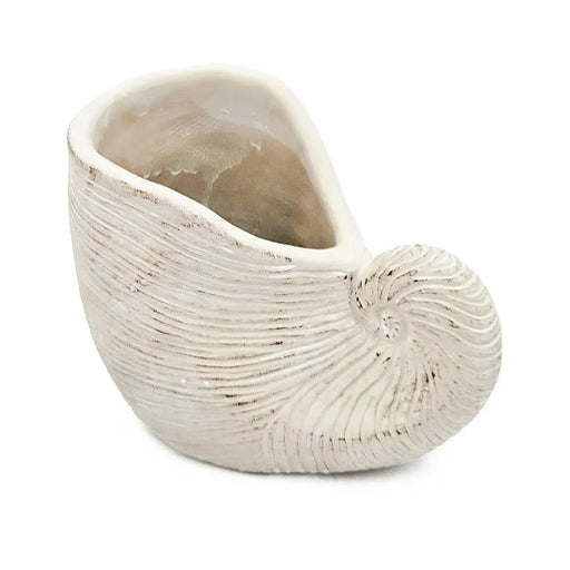 8.5x5.5x6.3' Sand and Cement Nautilus Shell Planter with Textured Beige Finish Default -DTYStore