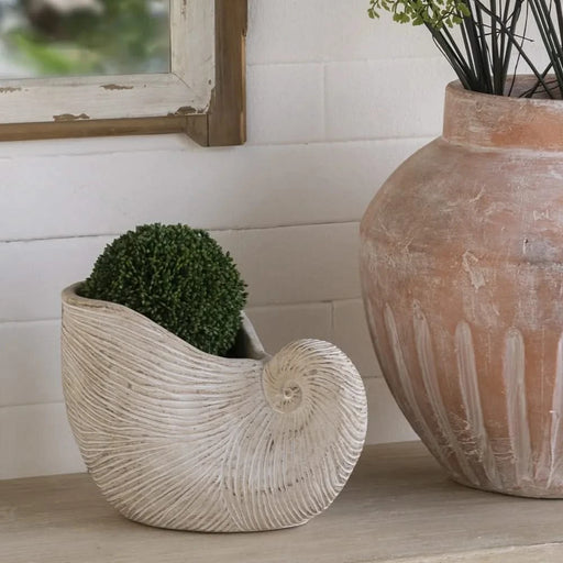 8.5x5.5x6.3' Sand and Cement Nautilus Shell Planter with Textured Beige Finish Default -DTYStore