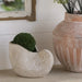 8.5x5.5x6.3' Sand and Cement Nautilus Shell Planter with Textured Beige Finish Default -DTYStore