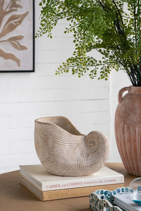 8.5x5.5x6.3' Sand and Cement Nautilus Shell Planter with Textured Beige Finish Default -DTYStore