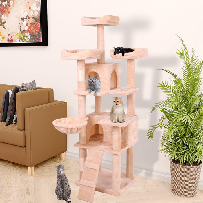 Cat Climbing Frame - DTYStore
