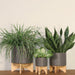8' PLANTER W/ WOOD STAND, MATTE GRAY Default -DTYStore