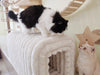 Ottoman Storage Bench Pet Supplies Corduroy Bench Cat's nest to hide For the Living Room, Entryway and Bedroom