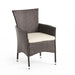 Clementine Outdoor Multibrown PE Wicker Dining Chairs (Set of 2) - DTYStore