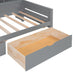 Twin Size Wooden Daybed with Glass-Door Storage Cabinets, Built-in LED Lighting and Shelves, Gray - DTYStore
