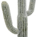 8x5x24.5'H Artificial Saguaro Cactus in Black Pot Default -DTYStore