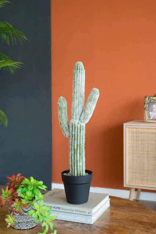 8x5x24.5'H Artificial Saguaro Cactus in Black Pot Default -DTYStore