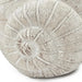 9.5x8.3x6' Decorative Sand and Cement Snail Planter with Textured Beige Finish Default -DTYStore