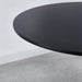 Mid-century Tulip Table for 2-4 People with Round MDF Table Top, Pedestal Dining Table, End Table - DTYStore