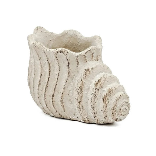 9x5.5x5.7' Sand and Cement Conch Shell Planter with Textured Beige Finish Default -DTYStore