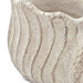 9x5.5x5.7' Sand and Cement Conch Shell Planter with Textured Beige Finish Default -DTYStore