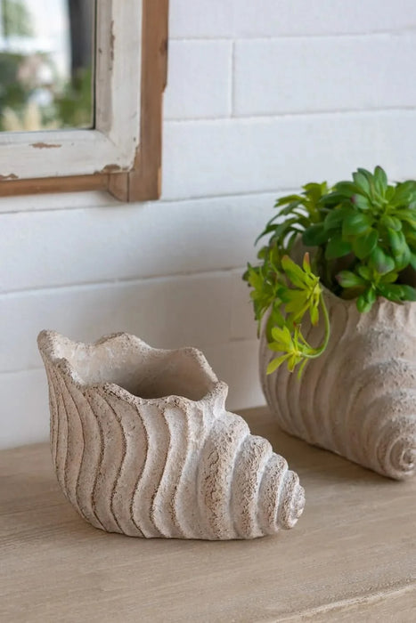 9x5.5x5.7' Sand and Cement Conch Shell Planter with Textured Beige Finish Default -DTYStore