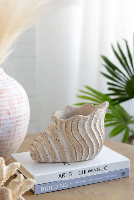 9x5.5x5.7' Sand and Cement Conch Shell Planter with Textured Beige Finish Default -DTYStore