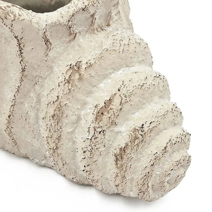 9x5.5x5.7' Sand and Cement Conch Shell Planter with Textured Beige Finish Default -DTYStore