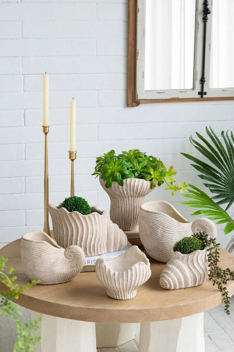 9x5.5x5.7' Sand and Cement Conch Shell Planter with Textured Beige Finish Default -DTYStore