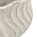 9x5.5x5.7' Sand and Cement Conch Shell Planter with Textured Beige Finish Default -DTYStore