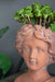 9x5.5x9.5' Brown Head Bust Planter, Greek Style Cement Head Planter - Indoor Outdoor Home Garden Decor Default -DTYStore