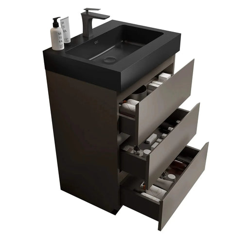 Alice 24' Gray Bathroom Vanity with Large Storage and Black Sink Basin, Modern Freestanding Design Default -DTYStore