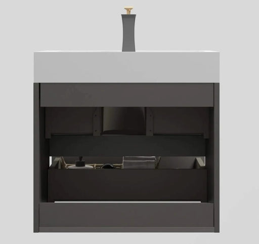 Alice 24' Gray Bathroom Vanity with Sink, Large Storage Wall Mounted Floating Bathroom Vanity for Modern Bathroom, One-Piece White Sink Basin without Drain and Faucet, Pre-assembled Default -DTYStore