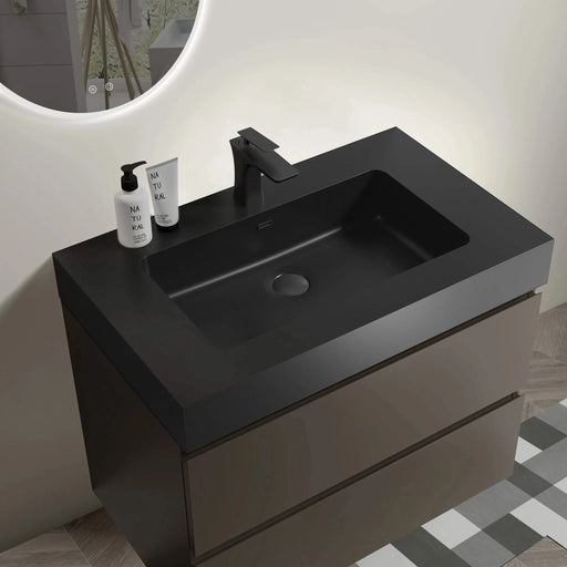 Alice 30' Gray Bathroom Vanity with Black Sink Basin, Large Storage, Wall Mounted, Pre-assembled Default -DTYStore