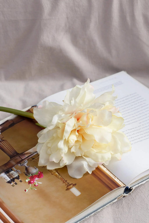 Almost Real 14' Peony - White with Pink, 4 Pack Default -DTYStore