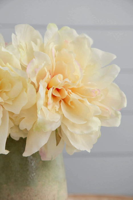 Almost Real 14' Peony - White with Pink, 4 Pack Default -DTYStore