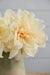 Almost Real 14' Peony - White with Pink, 4 Pack Default -DTYStore