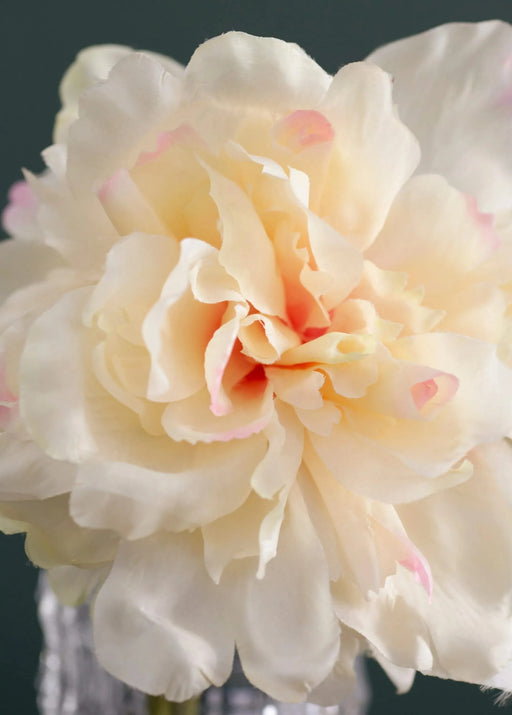 Almost Real 14' Peony - White with Pink, 4 Pack Default -DTYStore