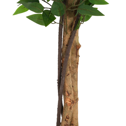 Artificial Ficus Tree With Pot – Realistic Indoor Decorative Faux Plant for Home & Office 63 in. -DTYStore