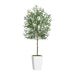 Artificial Olive Tree 6FT with Pot and Moss, Artificial Plants for Home Office Decor Default -DTYStore