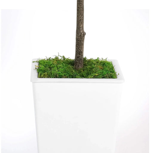 Artificial Olive Tree 6FT with Pot and Moss, Artificial Plants for Home Office Decor Default -DTYStore