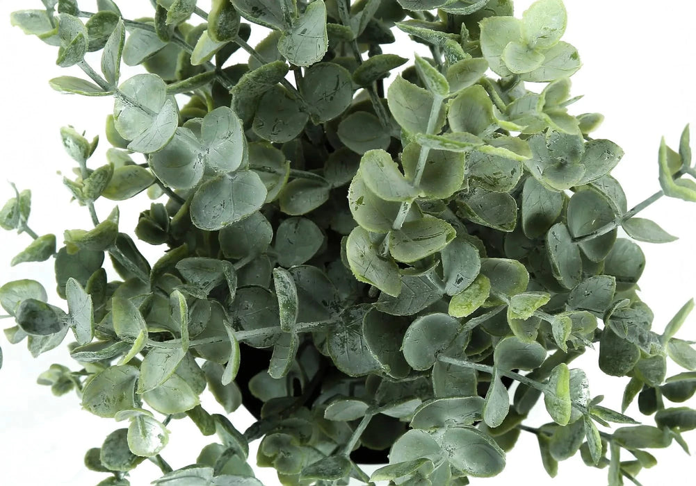 Artificial Plant, 11' Tall, Eucalyptus Grass, Indoor, Faux, Fake, Table, Greenery, Potted, Set Of 2, Decorative, Green Leaves, Black Pots Default -DTYStore