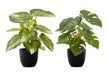 Artificial Plant, 13' Tall, Monstera Calthea, Indoor, Faux, Fake, Table, Greenery, Potted, Set Of 2, Decorative, Green Leaves, Black Pots Default -DTYStore