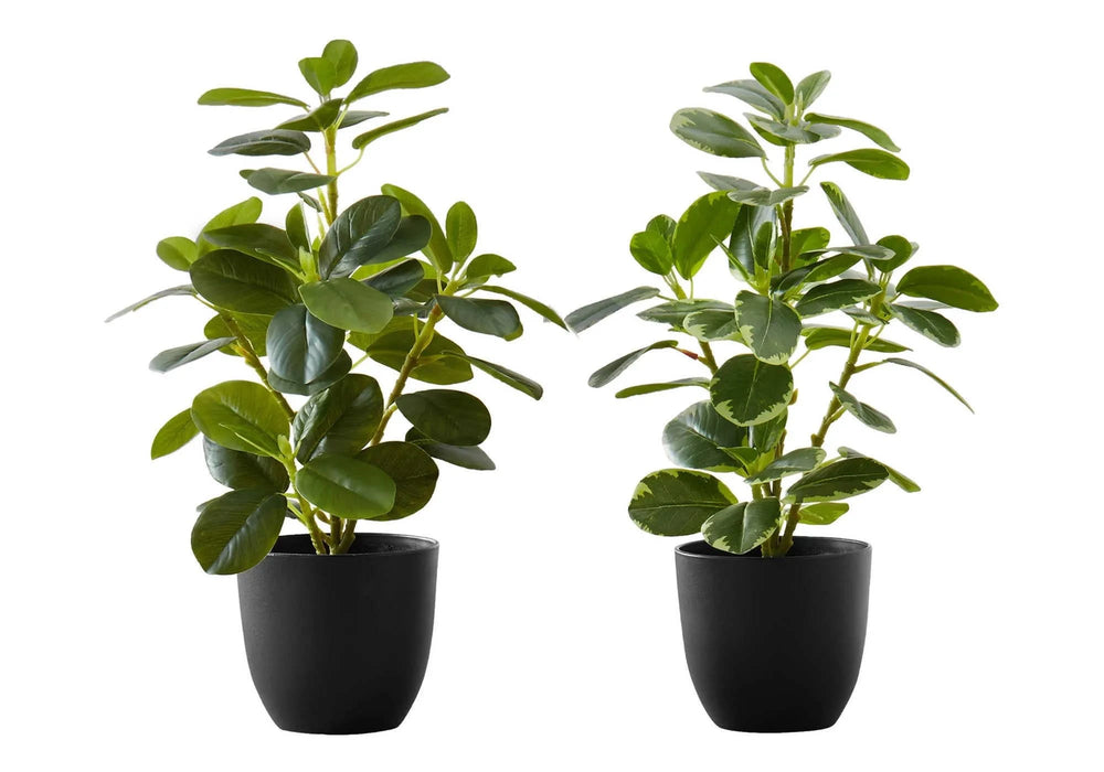 Artificial Plant, 14' Tall, Ficus, Indoor, Faux, Fake, Table, Greenery, Potted, Set Of 2, Decorative, Green Leaves, Black Pots Default -DTYStore