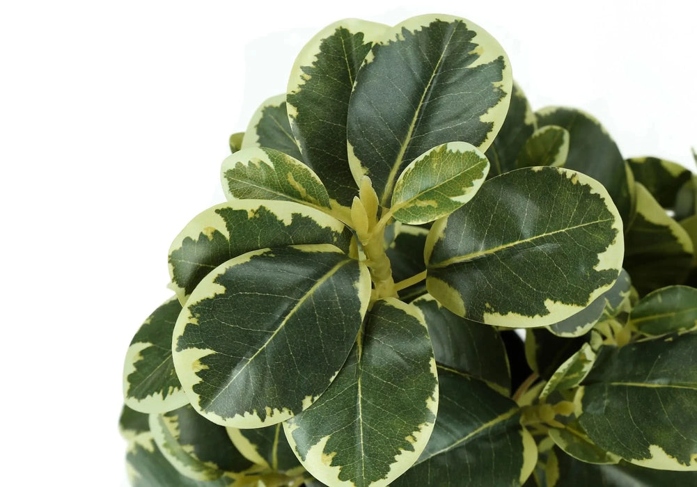 Artificial Plant, 14' Tall, Ficus, Indoor, Faux, Fake, Table, Greenery, Potted, Set Of 2, Decorative, Green Leaves, Black Pots - DTY Store