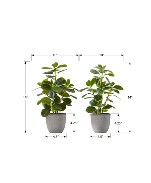 Artificial Plant, 14' Tall, Ficus, Indoor, Faux, Fake, Table, Greenery, Potted, Set Of 2, Decorative, Green Leaves, Grey Pots Default -DTYStore