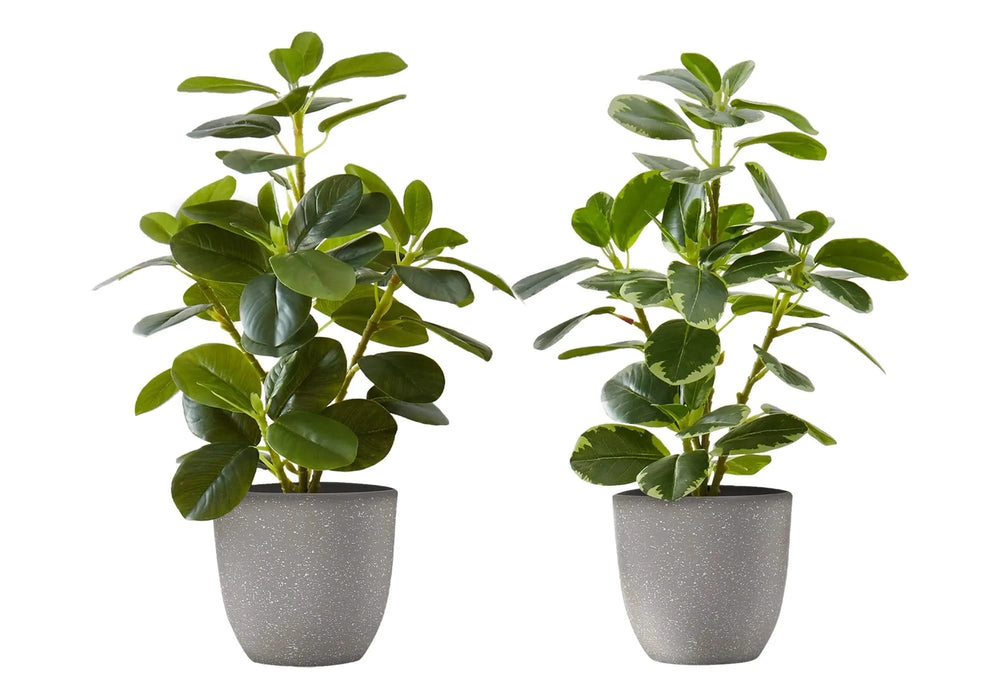 Artificial Plant, 14' Tall, Ficus, Indoor, Faux, Fake, Table, Greenery, Potted, Set Of 2, Decorative, Green Leaves, Grey Pots Default -DTYStore