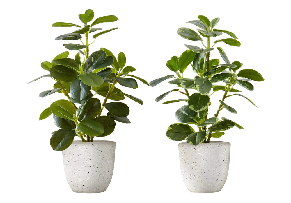 Artificial Plant, 14' Tall, Ficus, Indoor, Faux, Fake, Table, Greenery, Potted, Set Of 2, Decorative, Green Leaves, White Pots Default -DTYStore