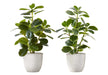 Artificial Plant, 14' Tall, Ficus, Indoor, Faux, Fake, Table, Greenery, Potted, Set Of 2, Decorative, Green Leaves, White Pots Default -DTYStore