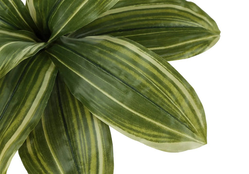 Artificial Plant, 17' Tall, Dracaena, Indoor, Faux, Fake, Table, Greenery, Potted, Real Touch, Decorative, Green Leaves, Black Pot Default -DTYStore