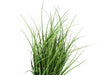 Artificial Plant, 23' Tall, Grass, Indoor, Faux, Fake, Table, Greenery, Potted, Real Touch, Decorative, Green Grass, Black Pot Default -DTYStore