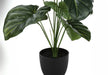 Artificial Plant, 24' Tall, Alocasia, Indoor, Faux, Fake, Table, Greenery, Potted, Real Touch, Decorative, Green Leaves, Black Pot Default -DTYStore