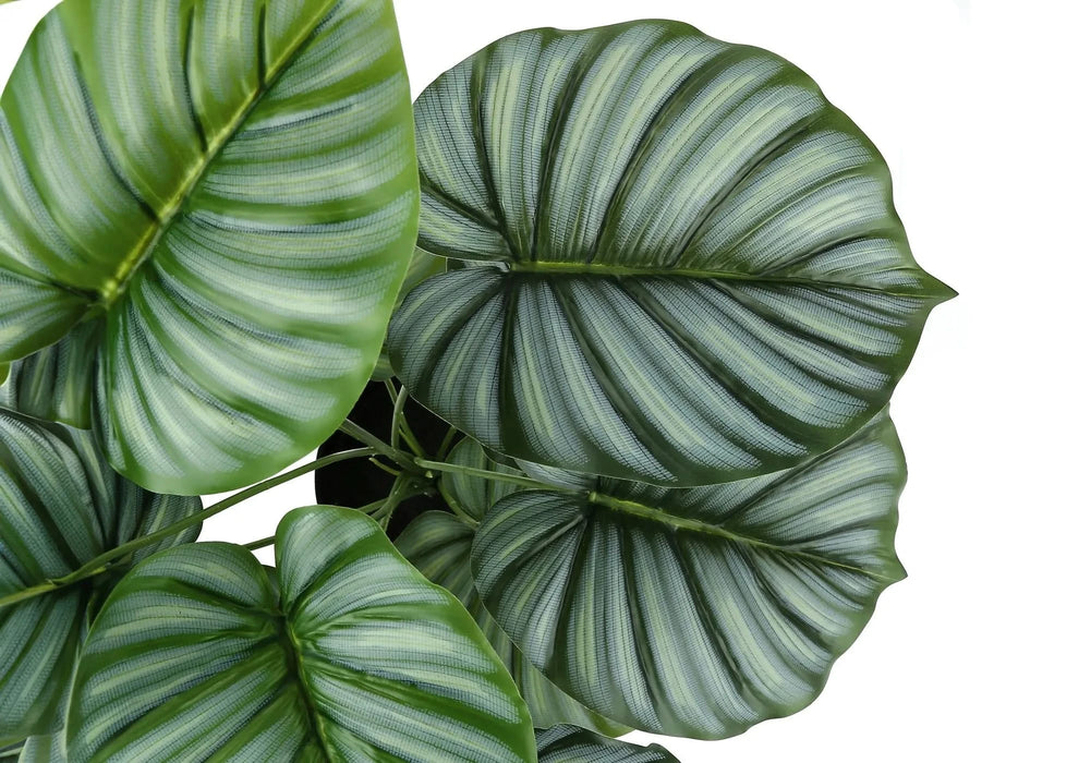 Artificial Plant, 24' Tall, Calathea, Indoor, Faux, Fake, Table, Greenery, Potted, Real Touch, Decorative, Green Leaves, Black Pot Default -DTYStore