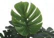 Artificial Plant, 24' Tall, Monstera, Indoor, Faux, Fake, Table, Greenery, Potted, Real Touch, Decorative, Green Leaves, Black Pot Default -DTYStore